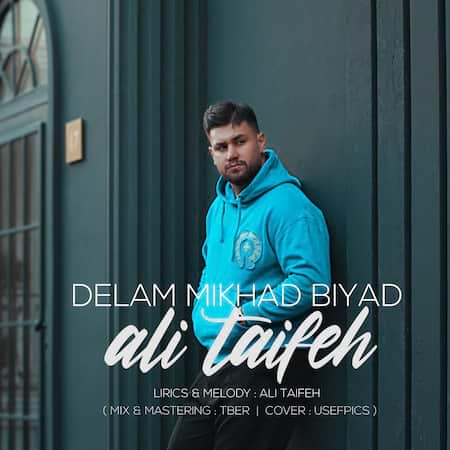 آهنگ علی طایفه دلم میخواد بیاد