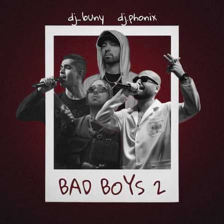 آهنگ دیجی بانی و دیجی فونیکس بد بویز ۲