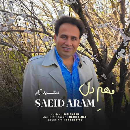 آهنگ سعید آرام فهم دل