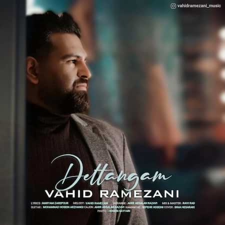 آهنگ وحید رمضانی دلتنگم