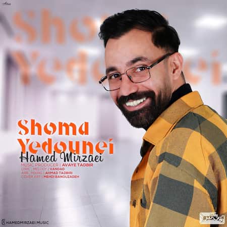 آهنگ حامد میرزائی شما یه دونه ای