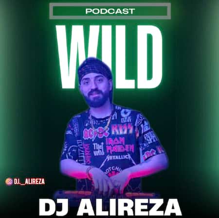 آهنگ دیجی علیرضا مینی ست ویلد