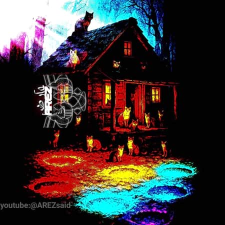 آهنگ عارض گربه