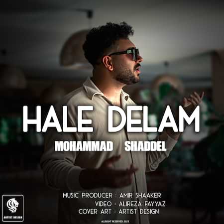 آهنگ محمد شاددل حال دلم آهنگ محمد شاددل حال دلم